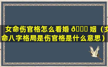 女命伤官格怎么看婚 🕊 姻（女命八字格局是伤官格是什么意思）